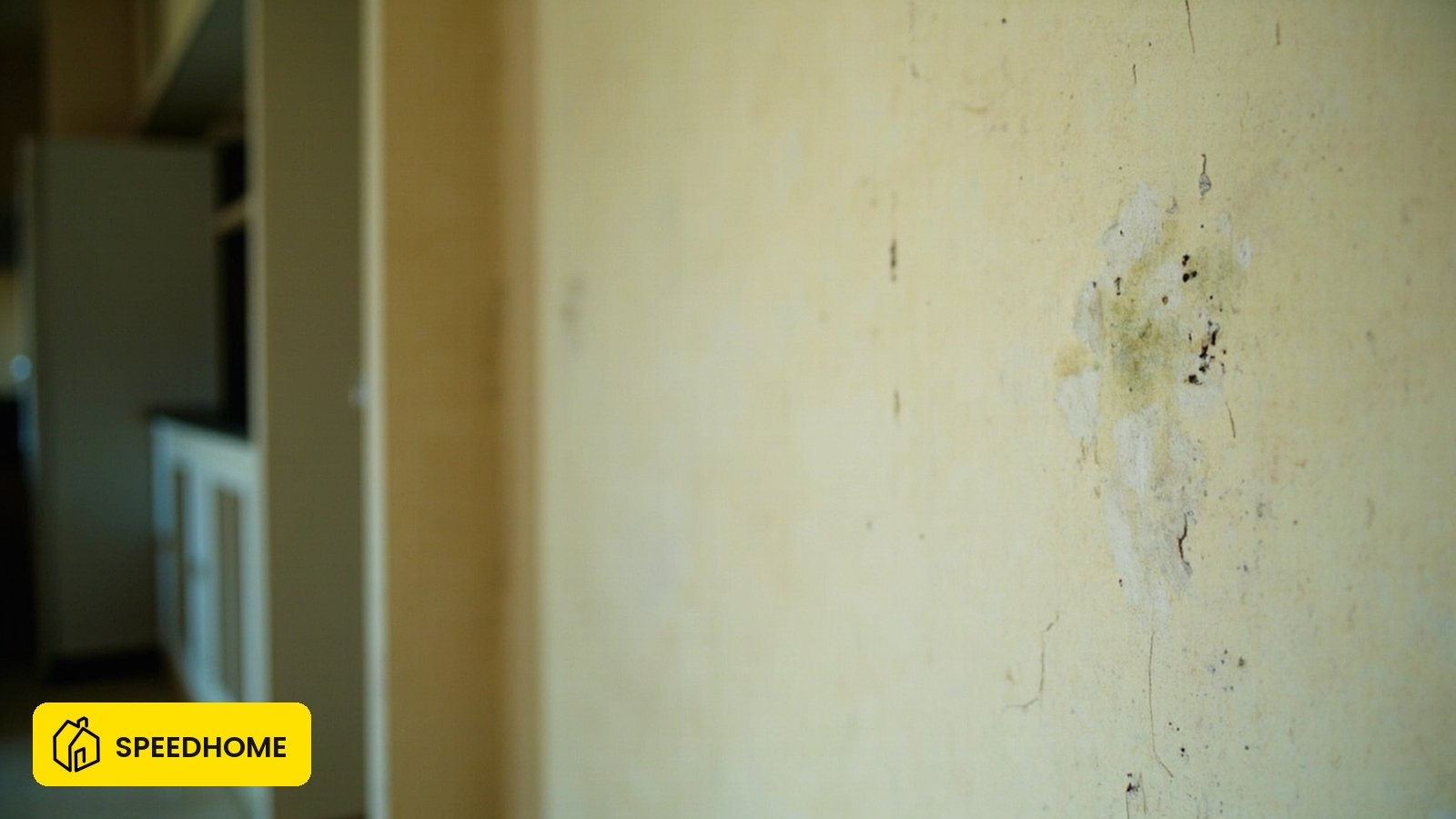 Lived-in Malaysian apartment wall showing faded paint and minor scuffs after a three-year tenancy