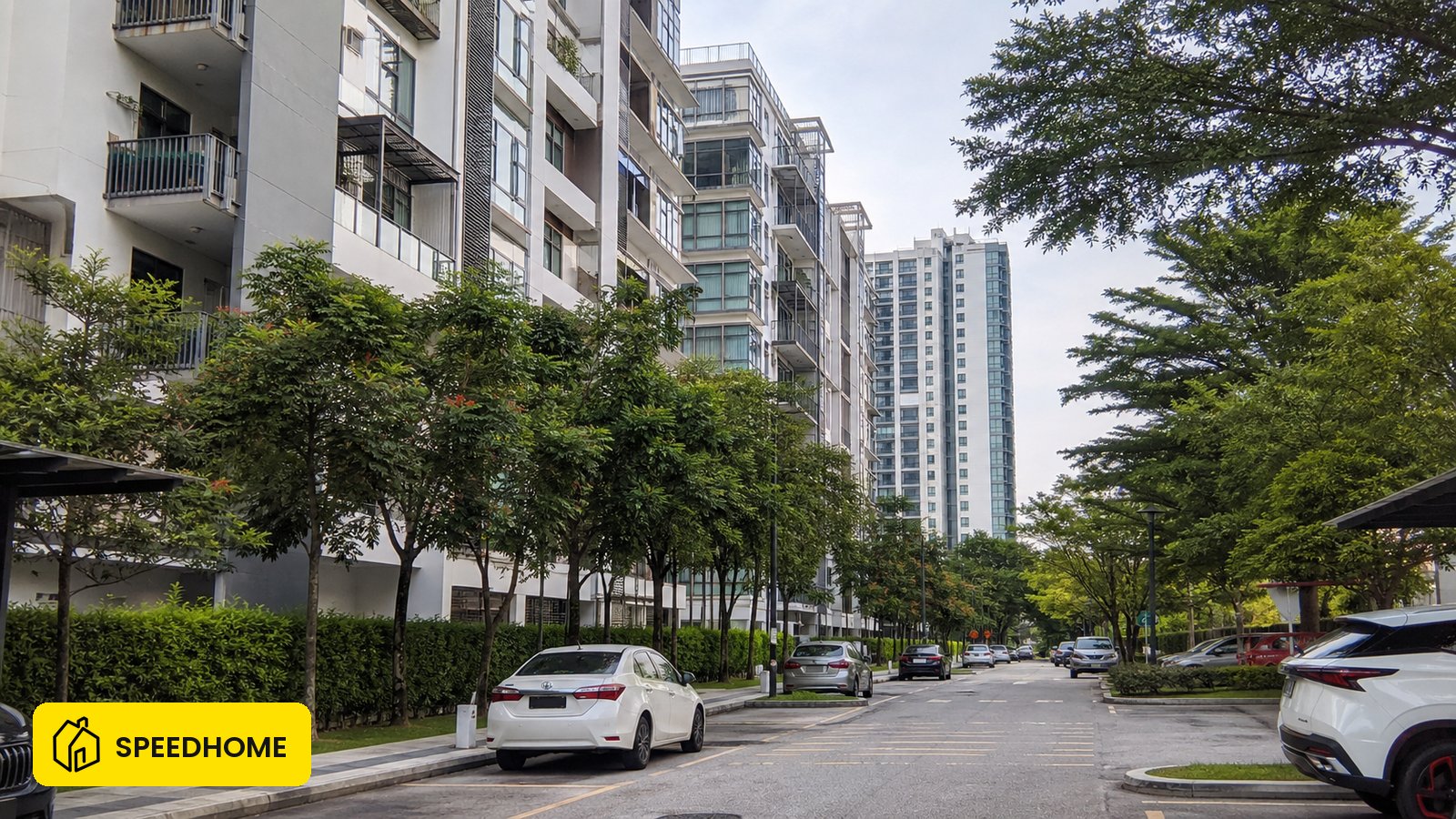 Rumah Sewa Damansara: Poket, Harga & Zero Deposit (2026)