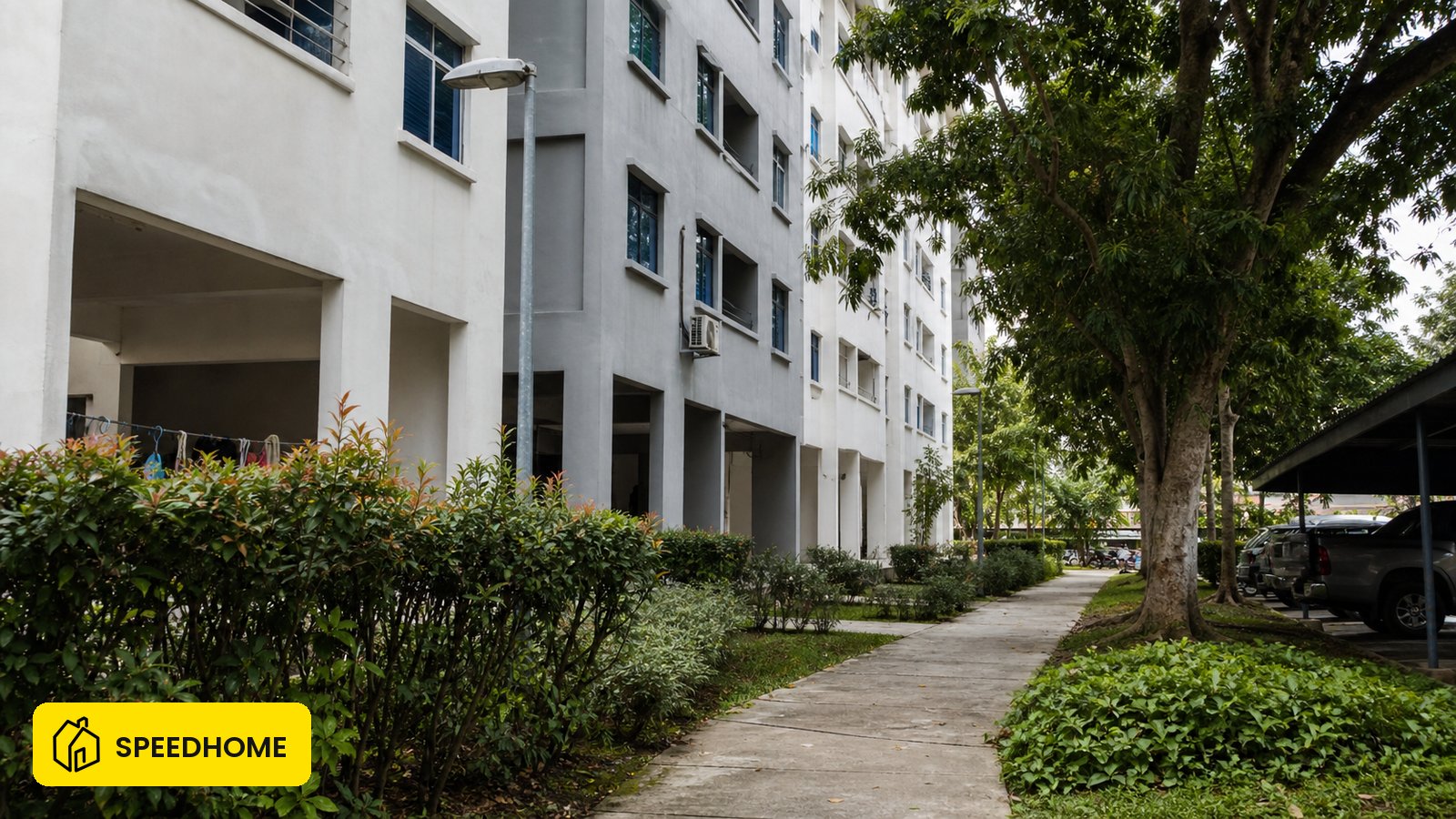 Solstice Cyberjaya 房东处理租金拖欠、合法收回单位、分层地契 JMB 责任和 SPEEDHOME 管理流程的中文指南,附条文出处。