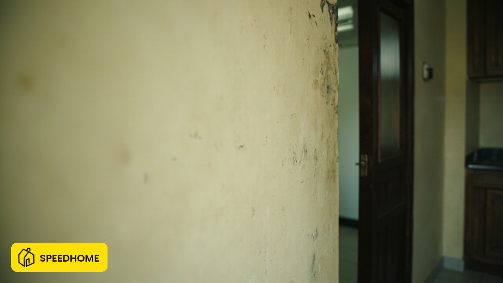 Penyewa diminta cat semula seluruh rumah selepas 3 tahun: adakah sah?