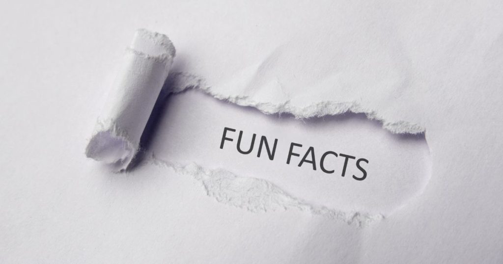 5. Fun-facts