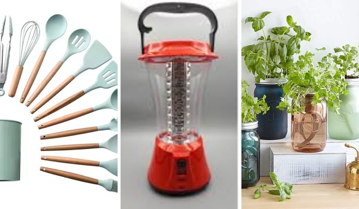 Eco-Friendly and Sustainable Options