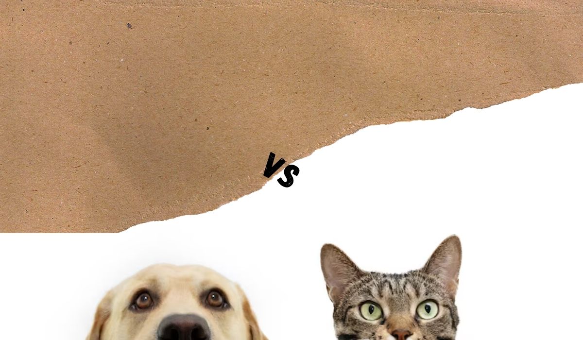 Landlords’ All You Need To Know About Pet Deposits And Fees