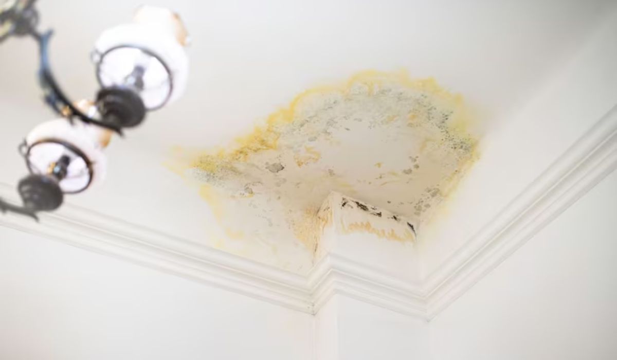 Poor Maintenance = Tenant Dealbreaker - property mistakes that drive away tenants