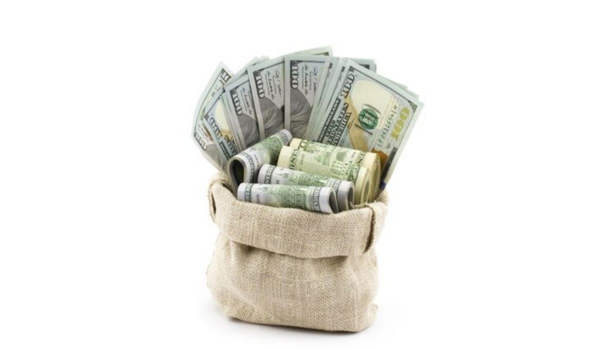 Landlords’ All You Need To Know About Pet Deposits And Fees