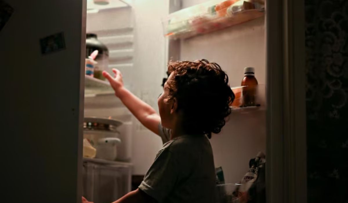 The Fridge Banished to the Bomb Shelter - Teach You Big Lessons
