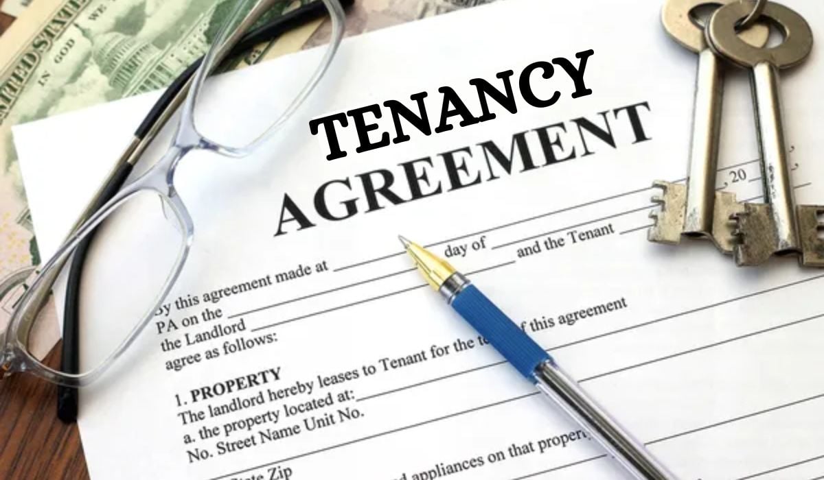 Understanding the Tenancy Agreement Process_ Key Steps to a Hassle-Free Lease