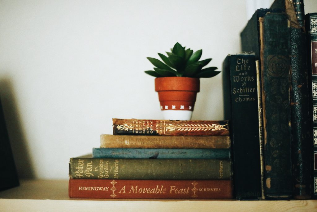 gift idea: bookends